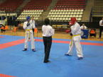 Campionati Italiani Rimini 2010